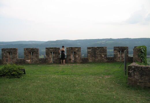 IMG 0227