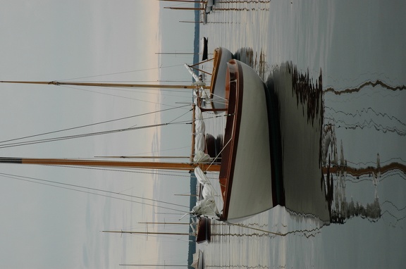dsc 0363